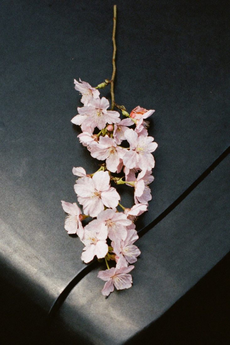 A photo showing modeled film grain in smooth shadow areas